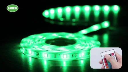 220V 110V RGB LED-Streifenlichter 5050 5m mehrfarbige flexible Rolle im Freien wasserdichter RGB-Zweifarben-Seil-LED-Lichtstreifen