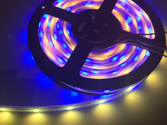 Wasserdichter, individuell adressierbarer RGB-Neonpixel-LED-Streifen Ws2812b für Bar-TV-Musikfestival